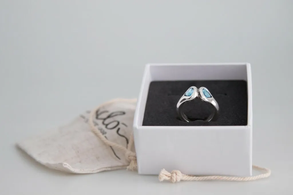 Кольцо CICLON SWR504-45